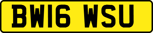 BW16WSU