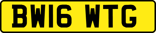 BW16WTG