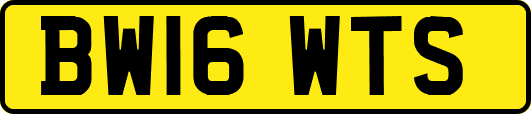 BW16WTS