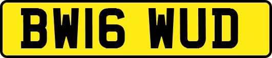 BW16WUD