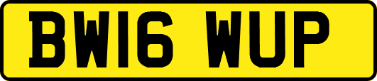 BW16WUP
