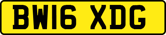 BW16XDG