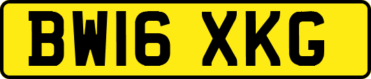 BW16XKG