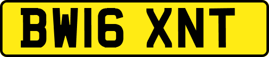 BW16XNT