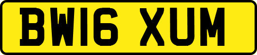 BW16XUM