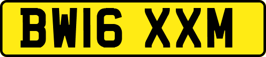 BW16XXM