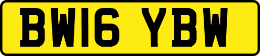 BW16YBW