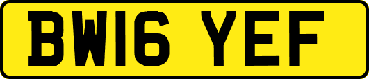 BW16YEF