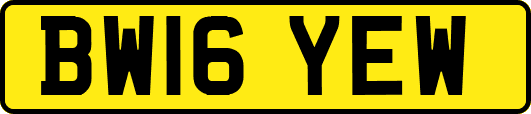 BW16YEW