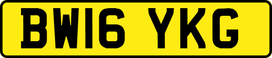 BW16YKG