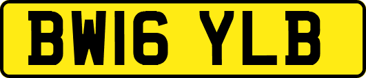 BW16YLB