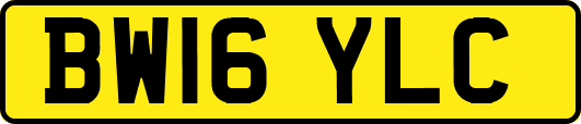 BW16YLC