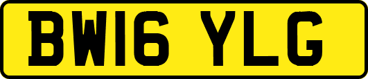 BW16YLG
