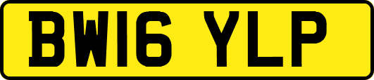 BW16YLP