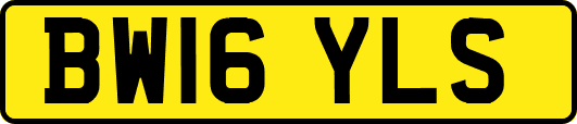 BW16YLS