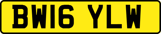 BW16YLW