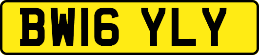 BW16YLY