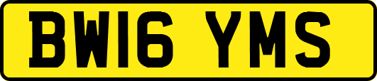 BW16YMS