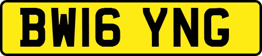 BW16YNG