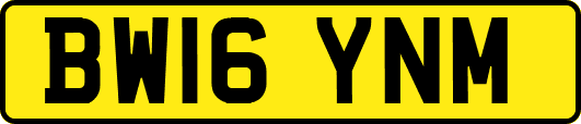 BW16YNM