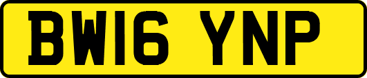 BW16YNP