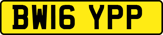 BW16YPP