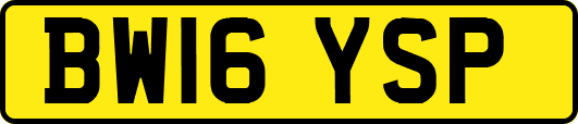 BW16YSP