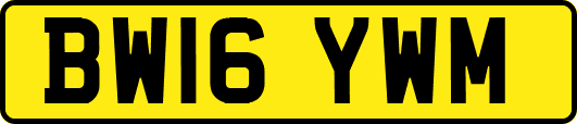 BW16YWM