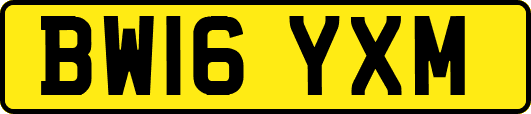 BW16YXM
