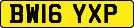 BW16YXP