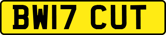 BW17CUT