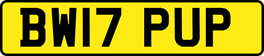 BW17PUP