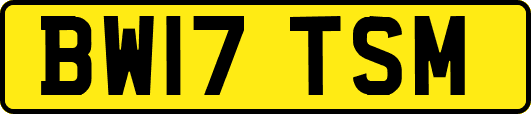 BW17TSM