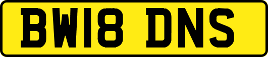 BW18DNS