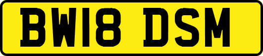 BW18DSM