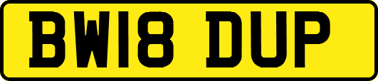 BW18DUP