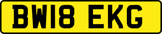 BW18EKG