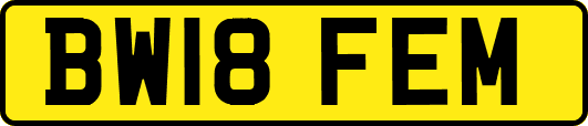 BW18FEM