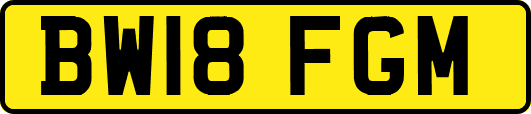 BW18FGM