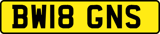 BW18GNS