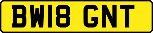 BW18GNT