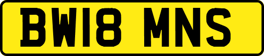 BW18MNS