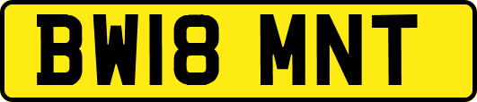 BW18MNT