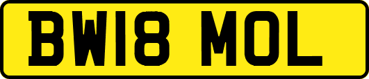 BW18MOL