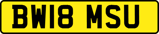BW18MSU