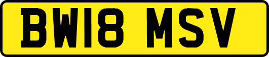 BW18MSV