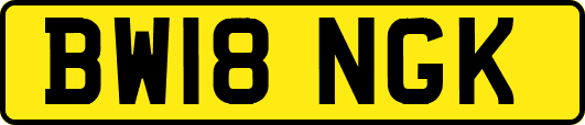 BW18NGK