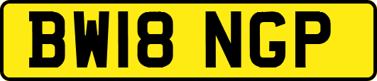 BW18NGP