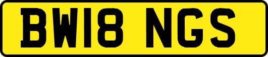 BW18NGS