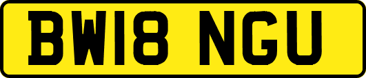 BW18NGU